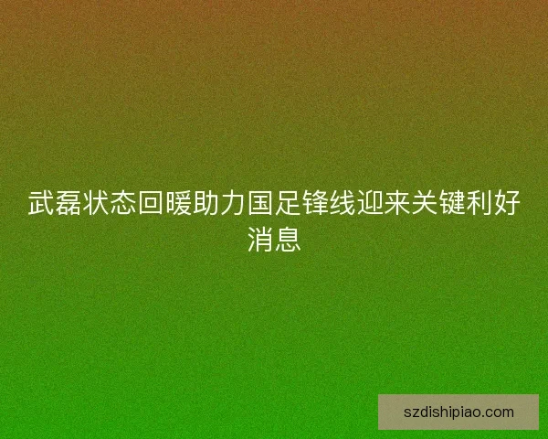 武磊状态回暖助力国足锋线迎来关键利好消息 武磊状态回暖助力国足锋线迎来关键利好消息